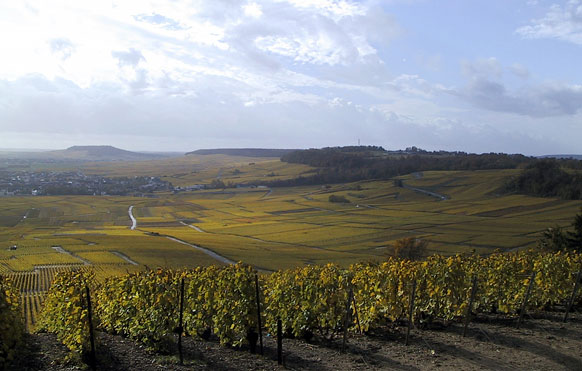 The Cote de Blancs, (c) Champagne Larmandier-Bernier