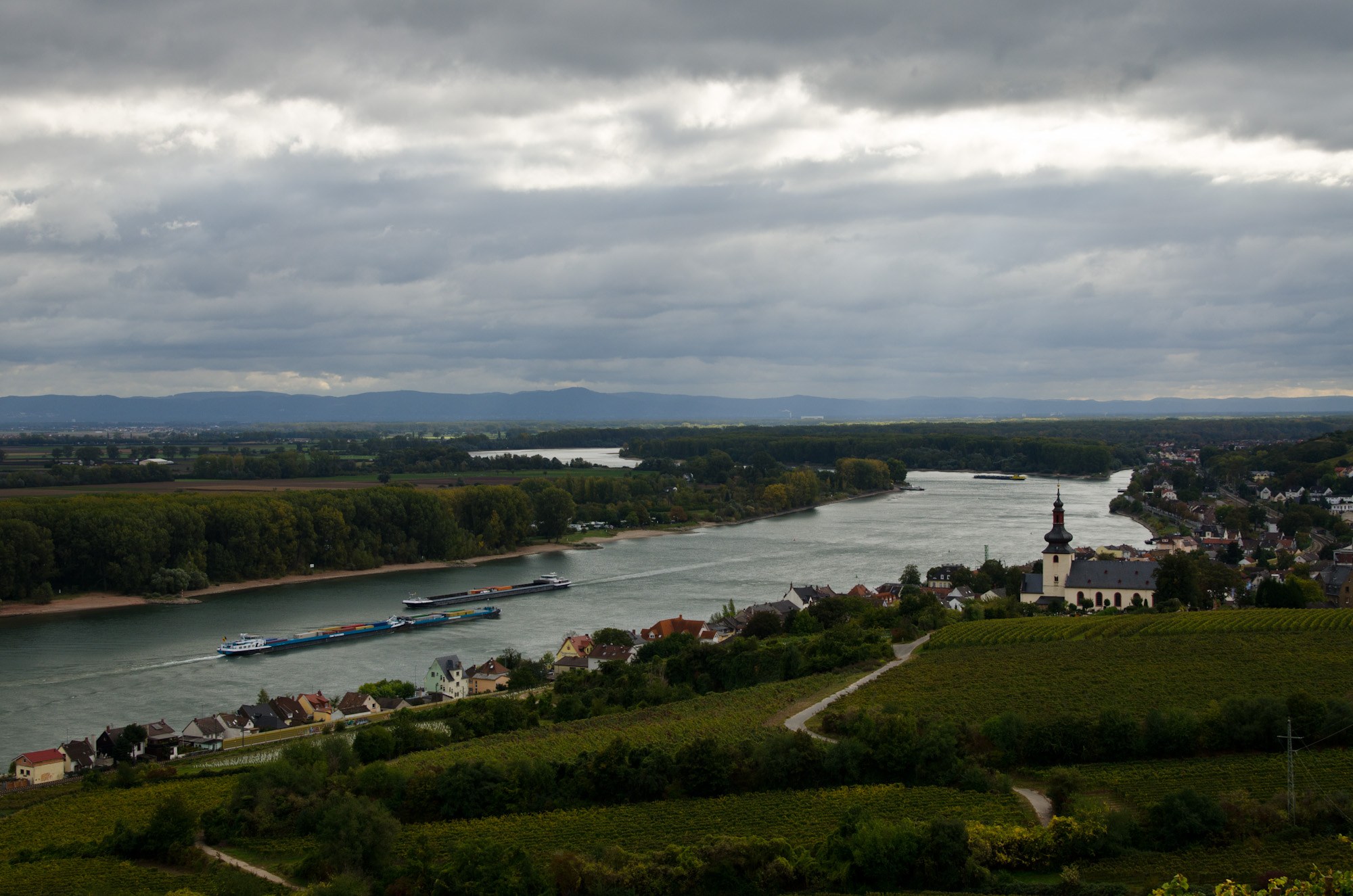 view from the Louis Guntrum vineyards