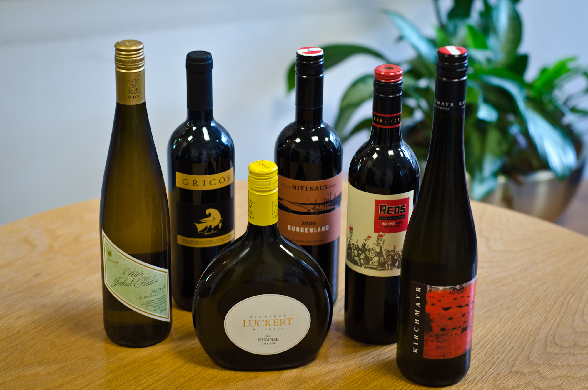 the line-up