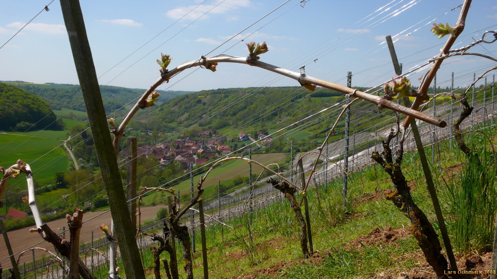 Tauber Valley